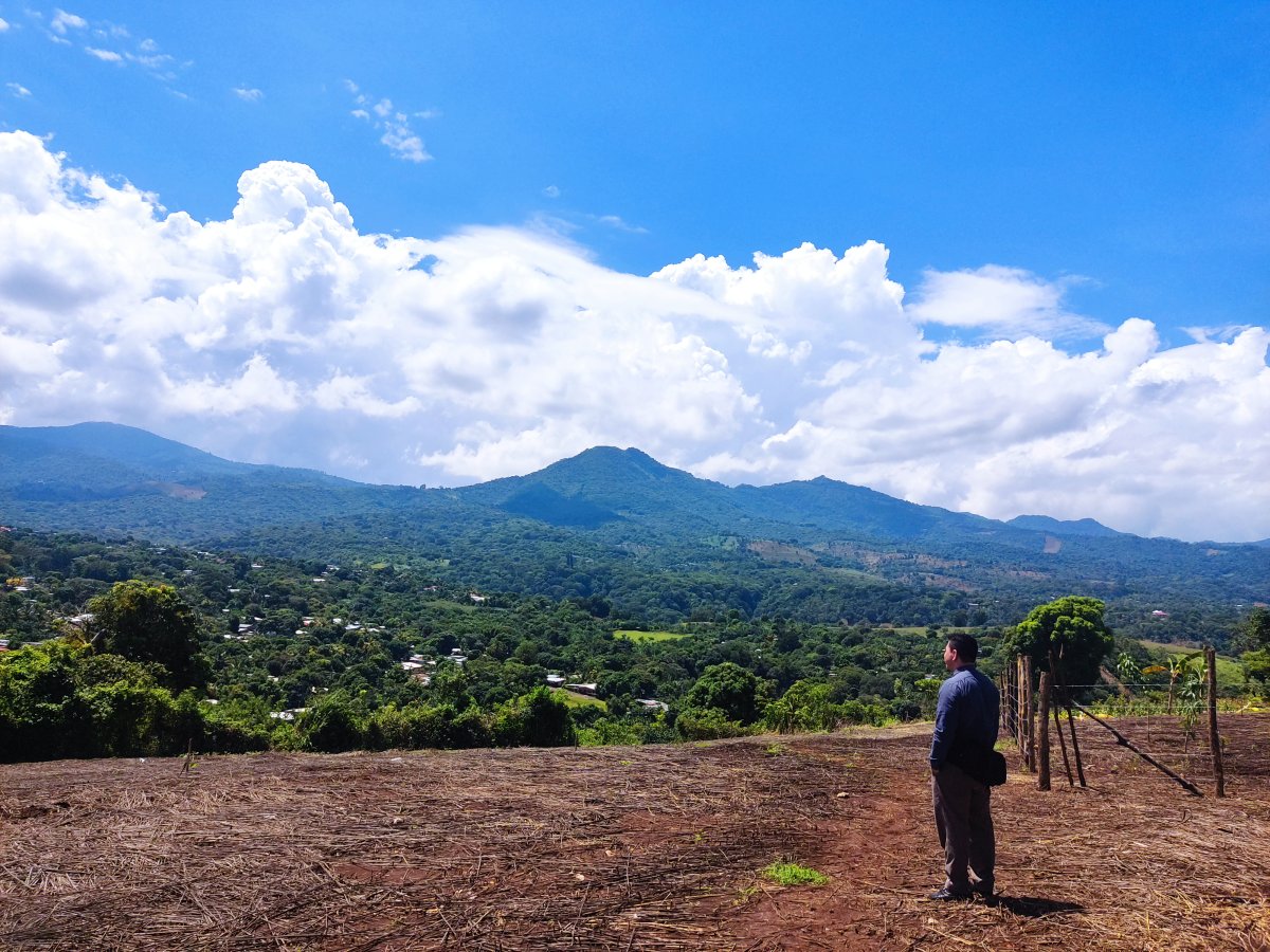 José Amilcar  Ayala Murgas