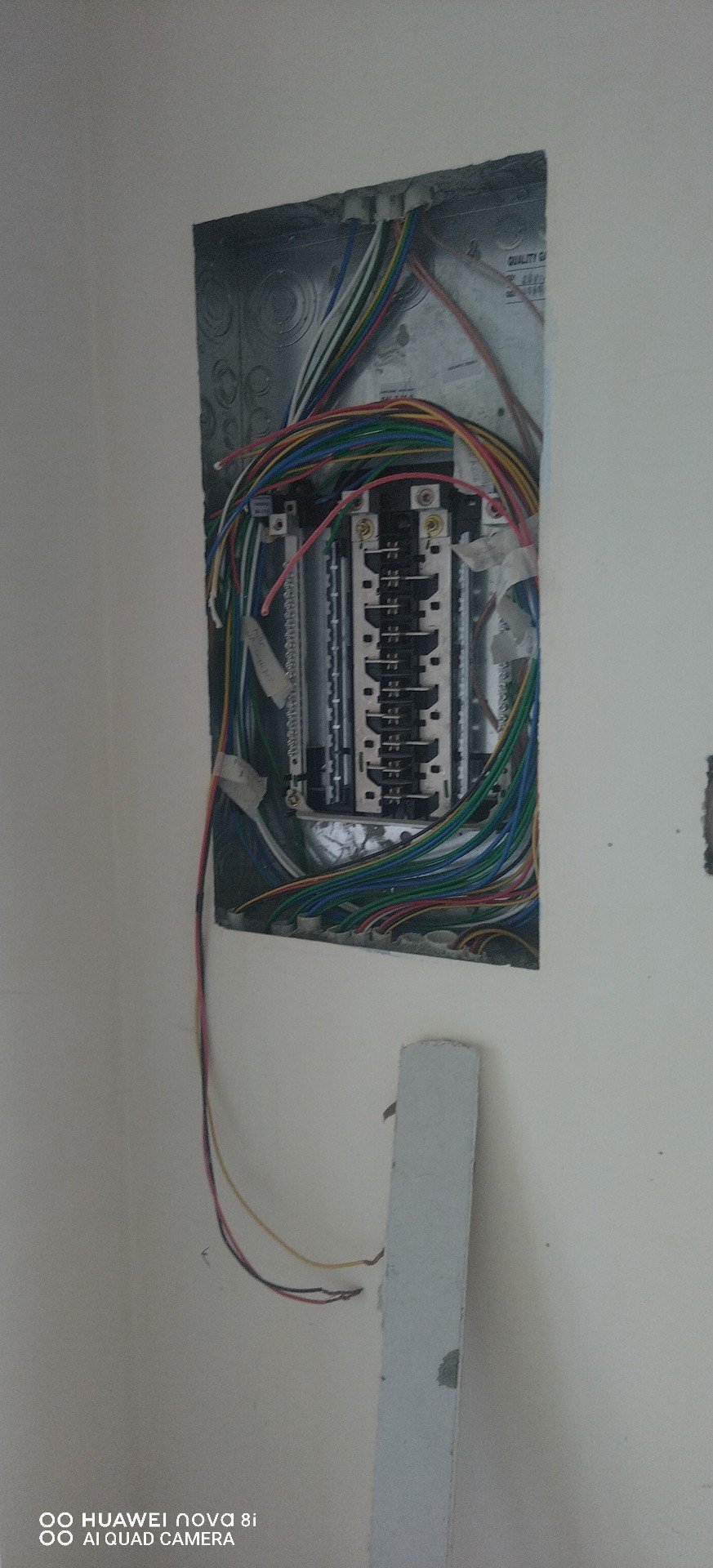 Olmedo Dagoberto  Piza flores 