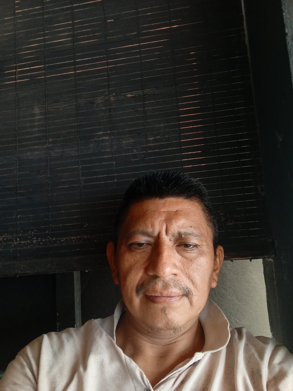 JOSE DANIEL PALACIOS VASQUEZ