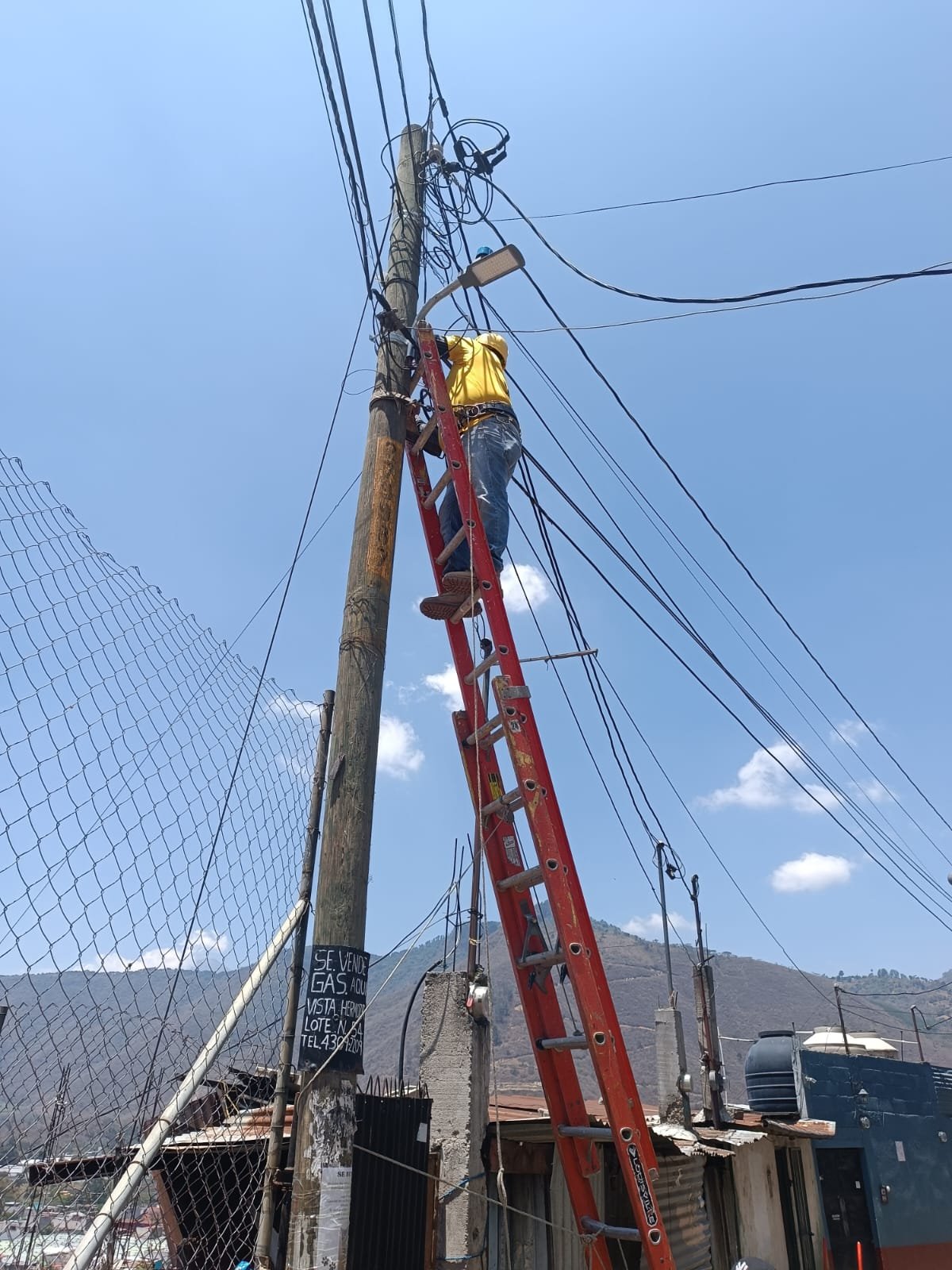 Luis Fernando  Pérez Ramírez 