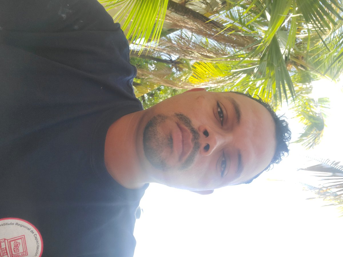 Julio César  Estrada Tenorio 