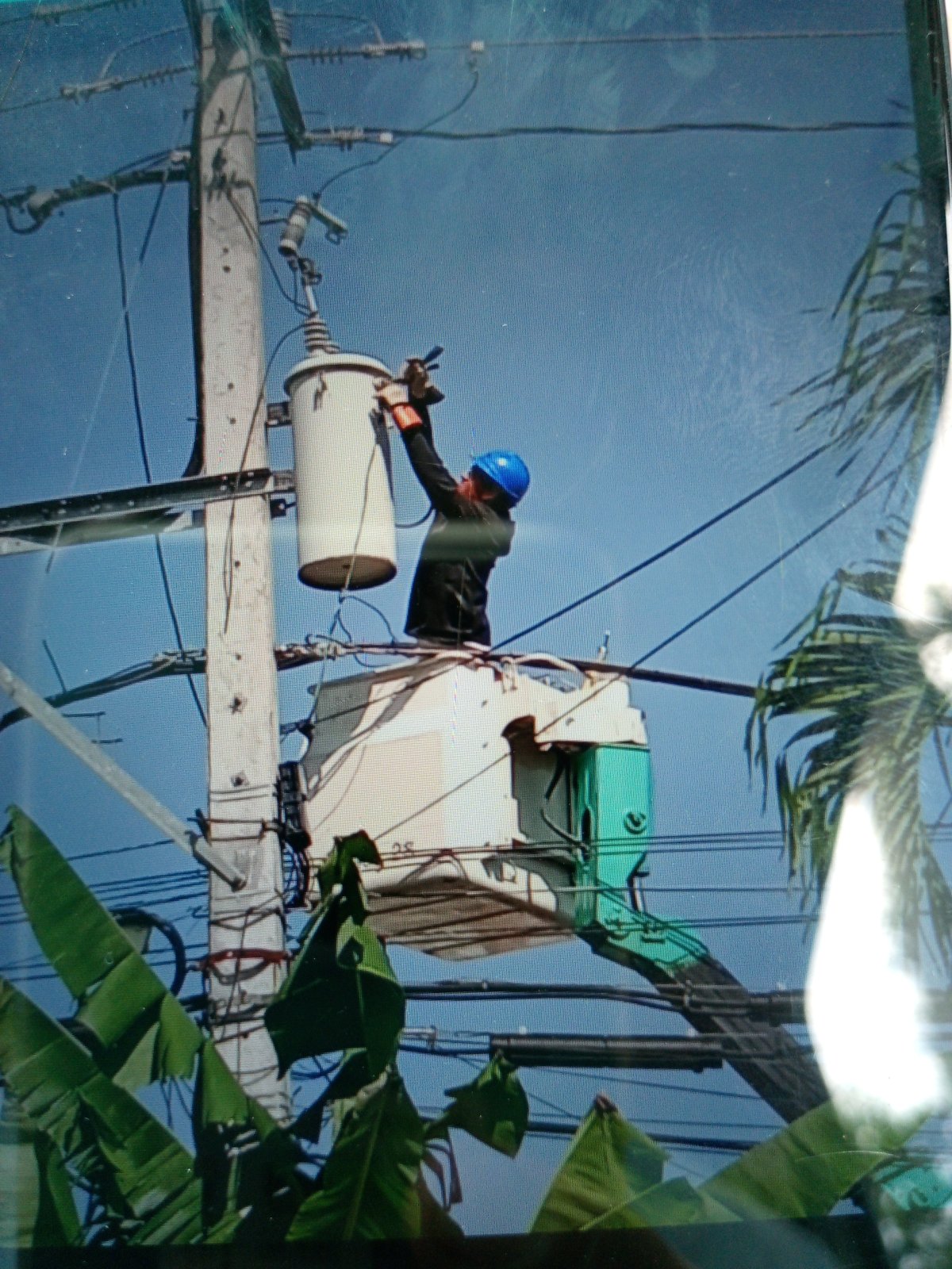 jhonny  Matías mendez