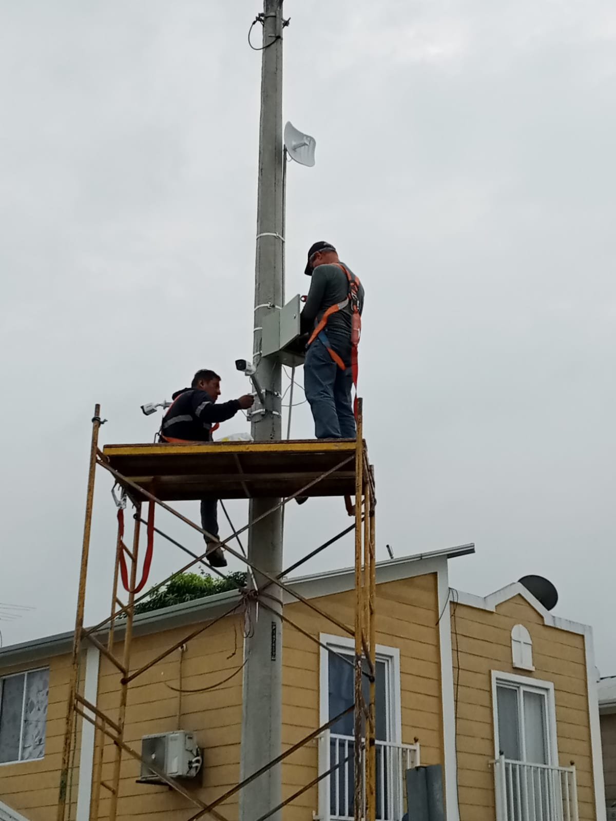 Carlos Antonio  Torres Ruiz 