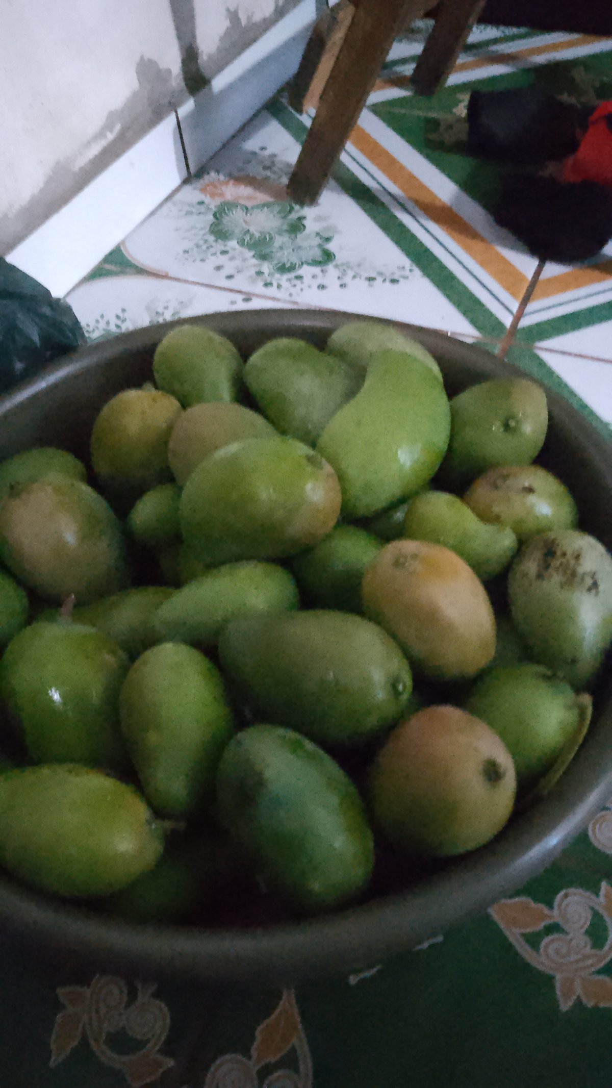 René Antonio  Flores Escobar