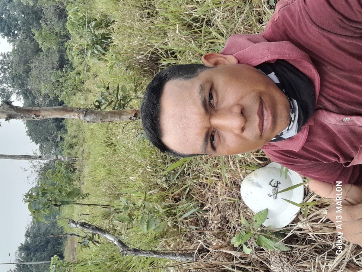 Marlon José  Aguinda Cerda 