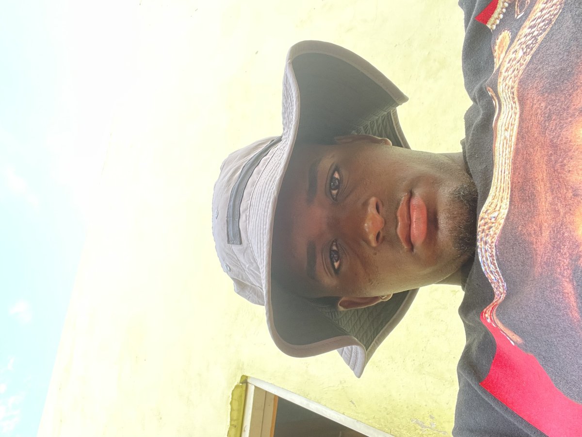 Michael junior  De los santos 