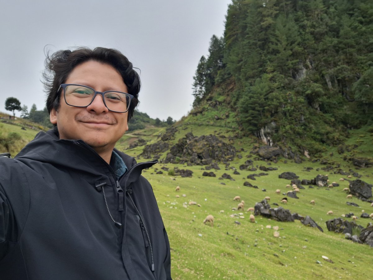 Abi Erik Ricardo  Palacios Surqué 