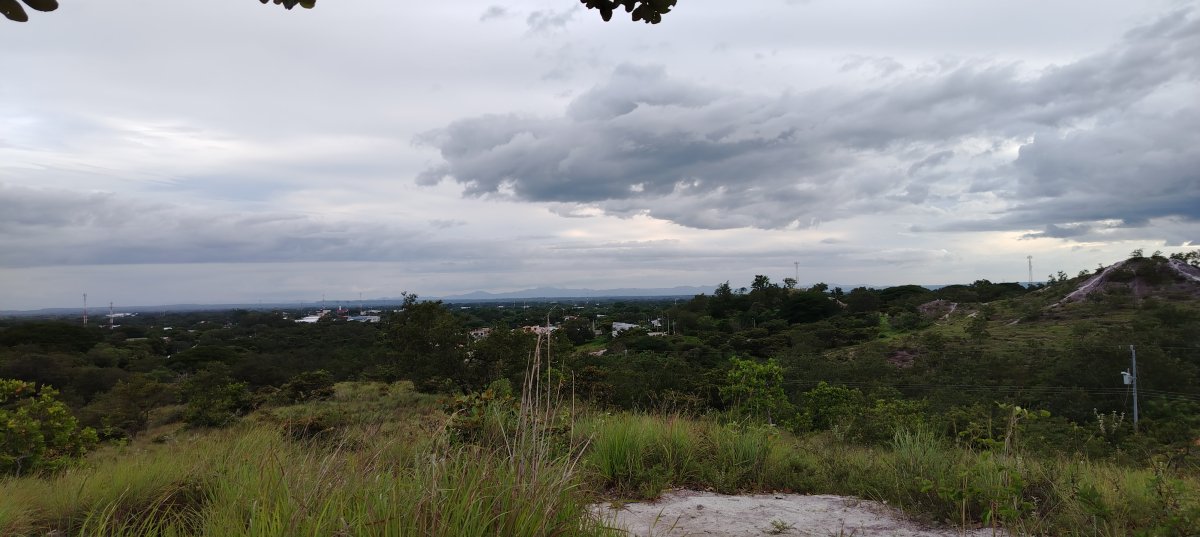 Ruggeri Da silva enriquez